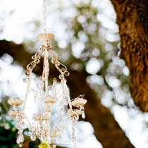 cherryblossomsandfaeriewings.com